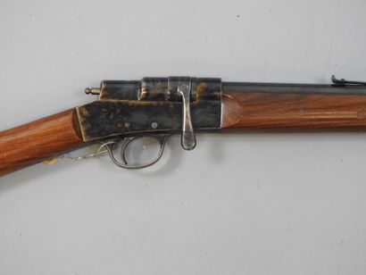 Carabine MANUFRANCE BUFFALO sport (Saint...