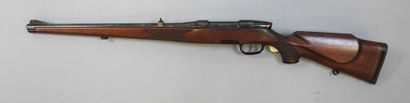 Carabine à verrou STEYR DAIMLER PUCH MANNLICHER...