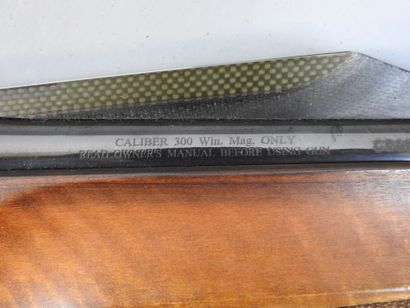 Carabine semi automatique BENELLI ARMI Argo...