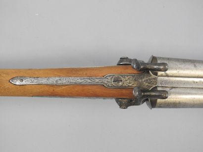 Fusil à chiens extérieurs Eugène BERNARD...