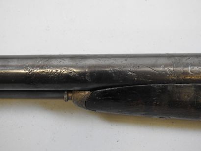 Fusil chiens extérieurs SAINT ETIENNE, calibre...