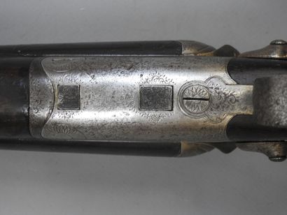 Fusil chiens extérieurs SAINT ETIENNE, calibre...