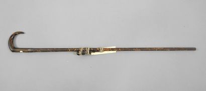 Canne étoile Manufacture française d'armes...