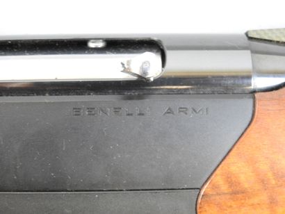 Carabine semi automatique BENELLI ARMI Argo...