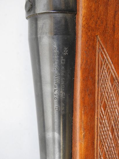 Carabine à verrou BSA guns (Angleterre) CF2...