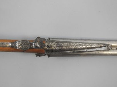 Fusil à chiens extérieurs Eugène BERNARD...