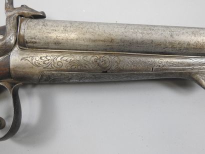 Fusil à chiens extérieurs, Eugène BERNARD...
