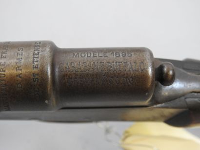Carabine MANUFRANCE BUFFALO modèle 1895 ,...