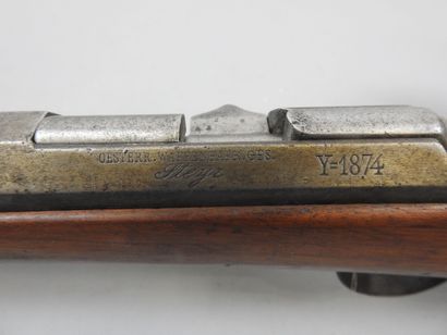 Fusil STEYR modèle 1874 transformé chasse,...