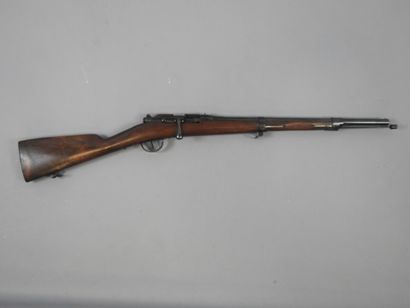 Fusil GRAS modèle 1866-74 transformé chasse...