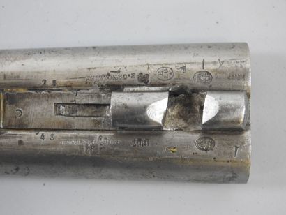 Fusil à chiens extérieurs Eugène BERNARD...