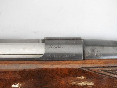 Carabine à verrou de tir de précision UNIQUE...