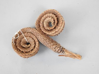 OCEANIE : Boucle nasale en fibres naturelles....