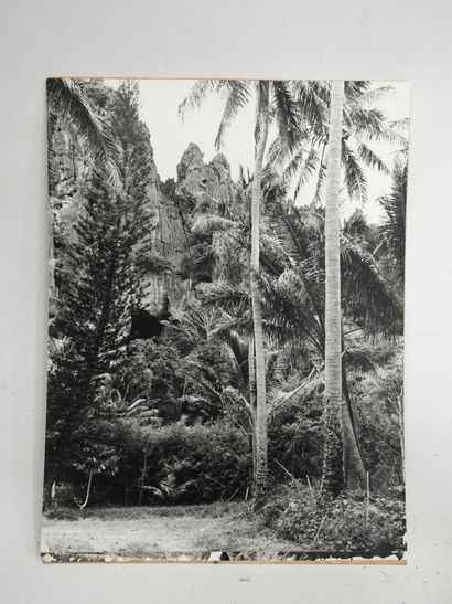 PHOTOGRAPHIE ANCIENNE : Paysage de montagne...