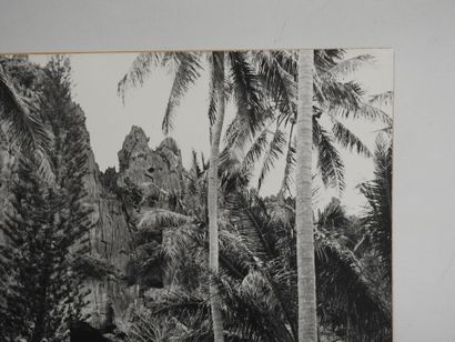 PHOTOGRAPHIE ANCIENNE : Paysage de montagne...