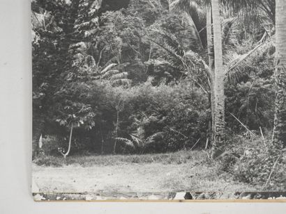 PHOTOGRAPHIE ANCIENNE : Paysage de montagne...