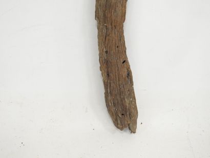 BORNEO, Indonésie : Poteau protecteur HEMPATUNG...