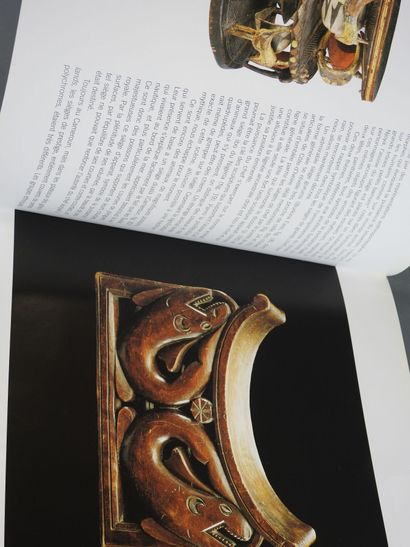 Laure MEYER : Objets africains Vie quotidienne/Rites/Arts...
