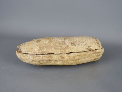 MOROCCO: Two fossil fish. L : 25,5 cm.