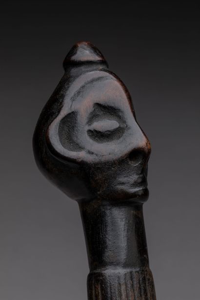 ZOMBO, Democratic Republic of the Congo.
Hardwood,...