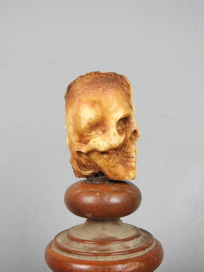 VANITE janus en os de cervidé sculpté sur...