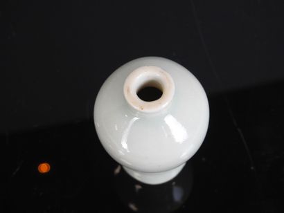 CHINA - 19th century
Meiping-shaped snuff...