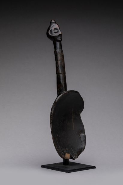ZOMBO, Democratic Republic of the Congo.
Hardwood,...