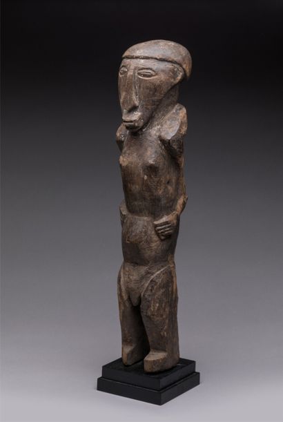 BASIKASINGO, Democratic Republic of the Congo.
Hardwood,...