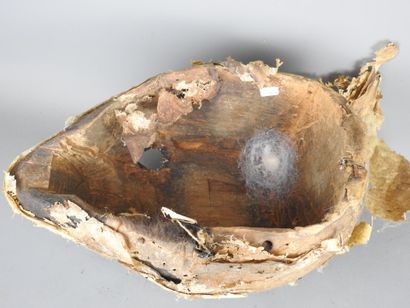 VILI, RDC 
Hardwood, skin, metal and cowrie...