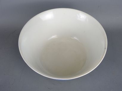 CHINA: White-blue porcelain bowl decorated...