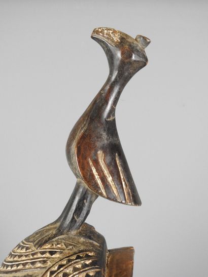 Yaoure - Côte d'Ivoire : Bois dur patiné,...