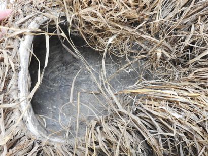 IBO, Nigéria : Bois dur pigment et fibres...