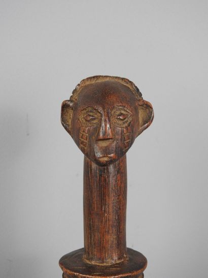 TABWA, Tanzania/ Democratic Republic of Congo:...