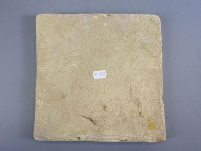 PERSE : Carreau de revêtement en terre siliceuse...