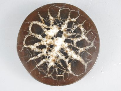 Lot consisting of a Septaria from Madagascar...