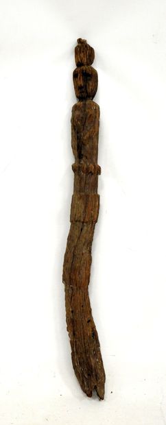 BORNEO, Indonesia: HEMPATUNG protective post...