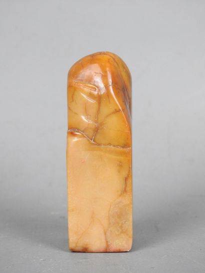 CHINA: Reunion of 5 hard stone seals, one...