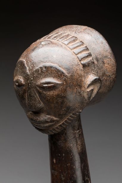 HEMBA, Democratic Republic of the Congo.
Hardwood,...
