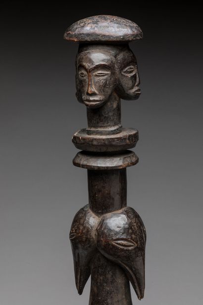 LUBA, Democratic Republic of the Congo.
Hardwood,...