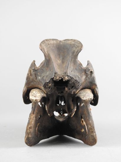 DAYAK, Indonesia
Antique carved and chiseled...