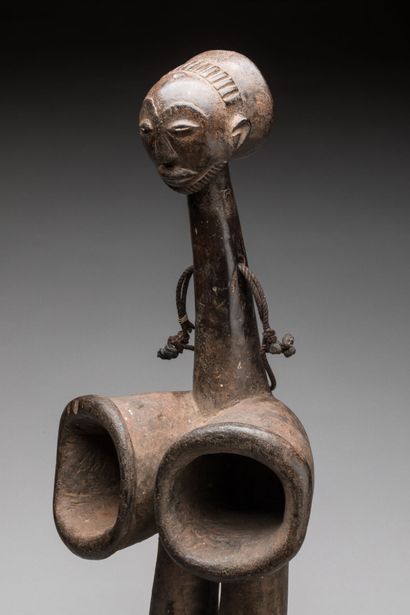 HEMBA, Democratic Republic of the Congo.
Hardwood,...