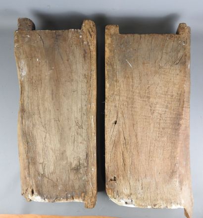 INDIA: Two wooden panels with lion and Yali...