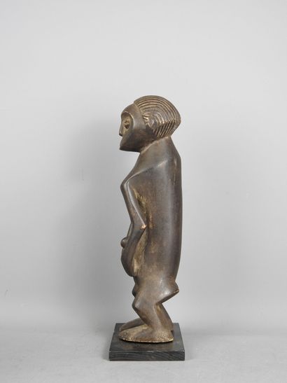 MBOLE - Democratic Republic of Congo : Wood...