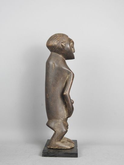 MBOLE - Democratic Republic of Congo : Wood...