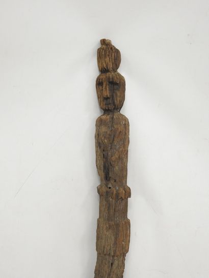 BORNEO, Indonesia: HEMPATUNG protective post...