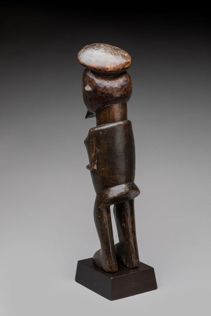 TEKE, République Démocratique du Congo. Bois...