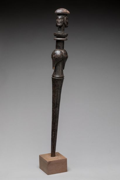 LUBA, Democratic Republic of the Congo.
Hardwood,...