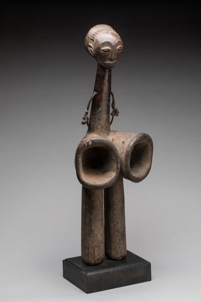 HEMBA, Democratic Republic of the Congo.
Hardwood,...