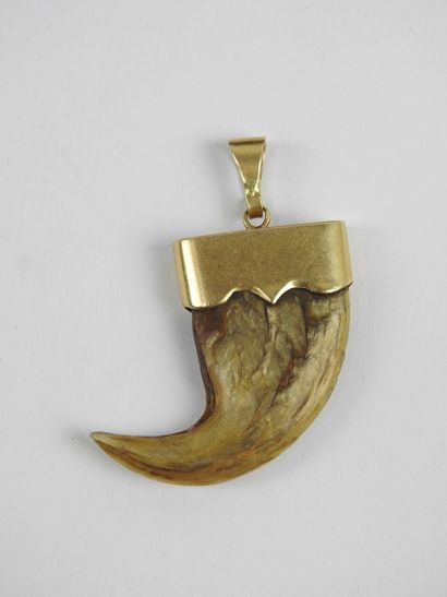 Lion claw pendant set in 750/1000th yellow...