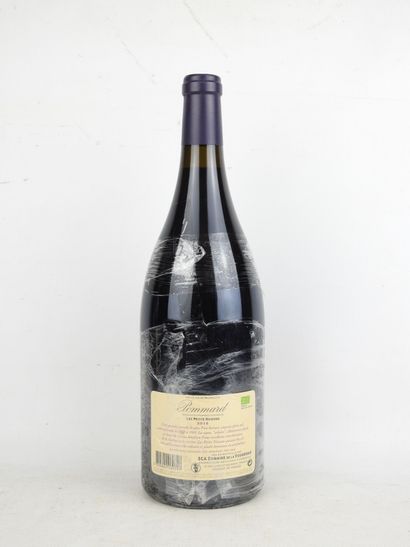 1 Magnum POMMARD Les Petits Noizons 